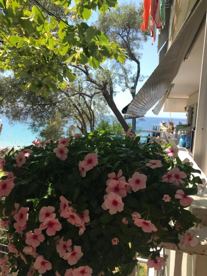 Stefani Apartment With A Sea View Terrace! Nea Moudania Esterno foto