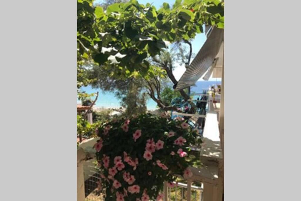 Stefani Apartment With A Sea View Terrace! Nea Moudania Camera foto